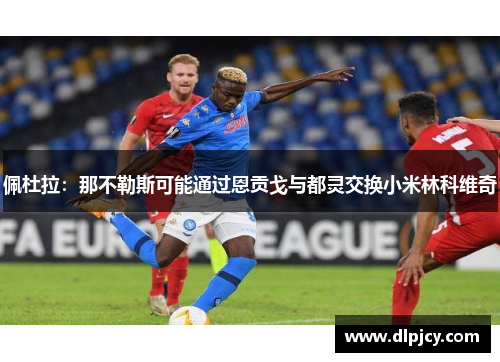佩杜拉:那不勒斯可能通过恩贡戈与都灵交换小米林科维奇 佩杜拉:那不勒斯可能通过恩贡戈与都灵交换小米林科维奇